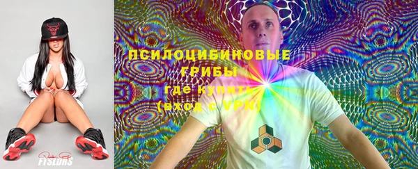 синтетический гашиш Богданович