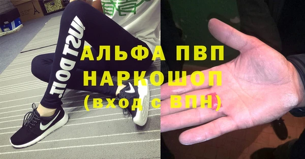 СК Богородицк