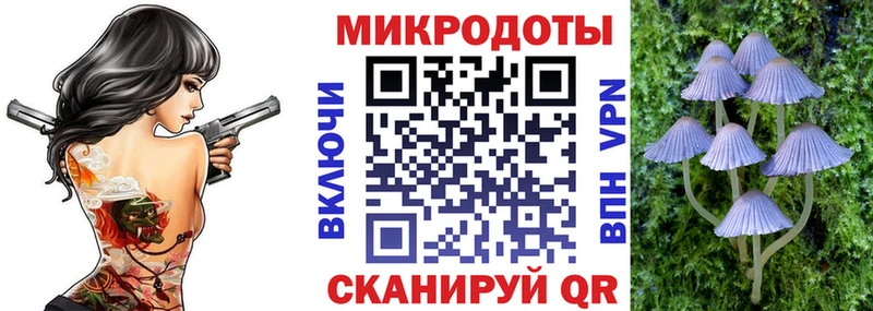 Псилоцибиновые грибы Psilocybe  Купить закладки  Новокубанск 